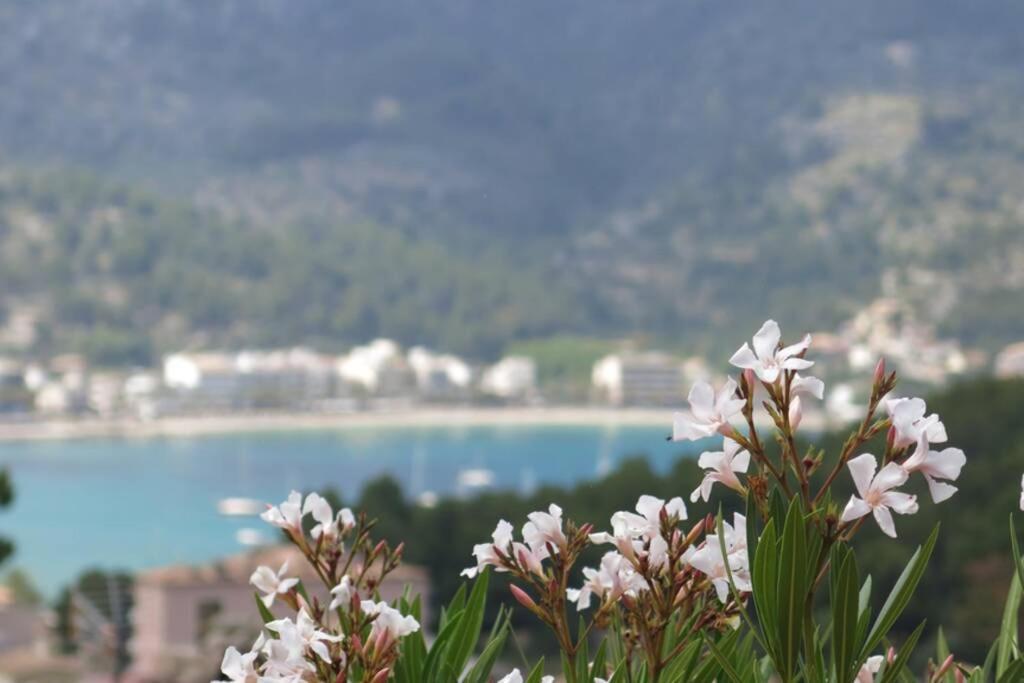 Apartamento En El Puerto De Soller Con Gran Terraza Privada Y Vistas Al Mar. Piscina Comunitaria. Localizado En Un Zona Tranquila Y Muy Soleada. Wifi Gratis Disponible. Parking. ภายนอก รูปภาพ